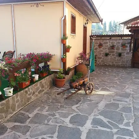 Denis Koprivchtitsa